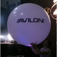 большой шар с логотипом и светодиодами 