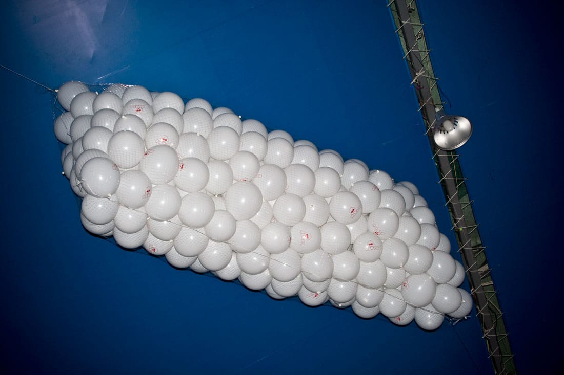 Сетка с воздушными шарами